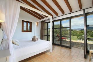 Olivo De La Roca - 3