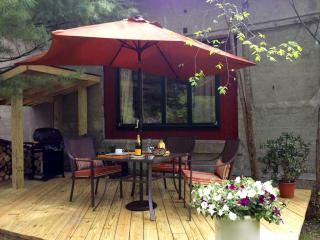 Luxury Open Floor Plan Studio Rental in Nine-Acre Sculpture Garden in the Adirondacks - Wells - 7