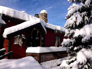 Luxury Open Floor Plan Studio Rental in Nine-Acre Sculpture Garden in the Adirondacks - Wells - 4