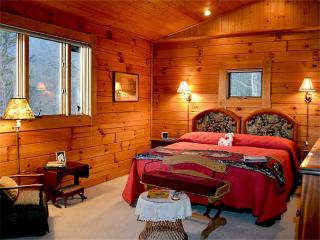 Stunning Log Cabin Rental for Eight Guests Located near Watauga Lake in Tennessee - Butler - 2