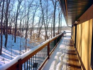 Rustic Cabin Rental with Waterfront Views on Lake Sylvia near St. Cloud, Minnesota - South Haven - 8