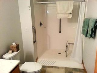 Rustic Cabin Rental with Waterfront Views on Lake Sylvia near St. Cloud, Minnesota - South Haven - 4