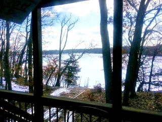 Rustic Cabin Rental with Waterfront Views on Lake Sylvia near St. Cloud, Minnesota - South Haven - 3