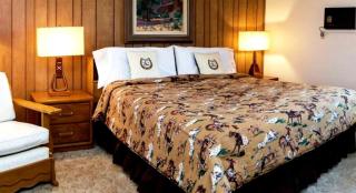 Rustic Vacation Rental Perfect for an Outdoor Getaway near Phoenix, Arizona - Wickenburg - 5
