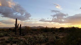 Cozy Rental on All-Inclusive Horse Ranch with Pool in Wickenburg, Arizona - Wickenburg - 4
