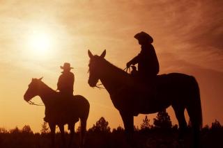 Cozy Rental on All-Inclusive Horse Ranch with Pool in Wickenburg, Arizona - Wickenburg - 1