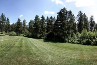 Four-Bedroom Luxury Vacation Rental on 80 Private Acres near Granite Peak, Wisconsin - Wausau - 3