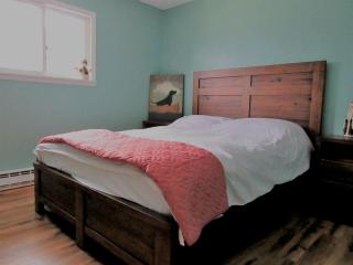 Charming Cabin Retreat in the Foothills of the Adirondacks in Fort Ann, New York - Fort Ann - 3