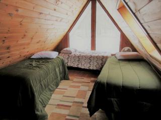 Charming Cabin Retreat in the Foothills of the Adirondacks in Fort Ann, New York - Fort Ann - 2