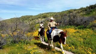Unique Rental Nestled near the Prescott National Park and Located in Wickenburg, Arizona - Wickenburg - 4