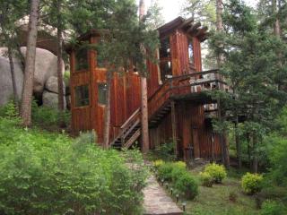 Unique Cabin Rental in Pike National Forest near Colorado Springs, Colorado - - 0