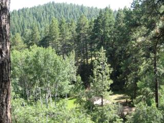 Unique Cabin Rental in Pike National Forest near Colorado Springs, Colorado - - 8