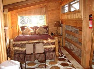 Unique Cabin Rental in Pike National Forest near Colorado Springs, Colorado - - 5