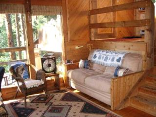 Unique Cabin Rental in Pike National Forest near Colorado Springs, Colorado - - 4