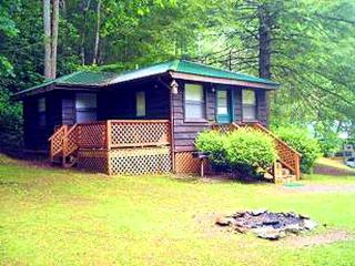 Tranquil Cabin Rental with Waterfall Views and a Full Kitchen near Young Harris, Georgia - Fain - 0