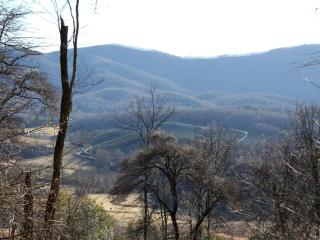Secluded Log Cabin with Two Ponds in the Blue Ridge Mountains of Virginia - - 1