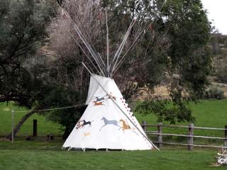 Secluded Getaway near Yellowstone National Park in Montana - - 3