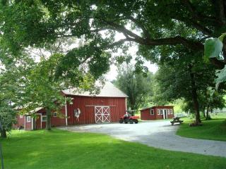 Enchanting Secluded Cabin Rental near Salem, New York - Salem - 9