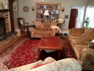 Enchanting Secluded Cabin Rental near Salem, New York - Salem - 7