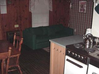 Cozy Log Cabin with and Two Kitchens Located near Blairsville, Georgia - Fain - 3