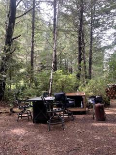 Cozy Forest Caravan Near the Coast in Albion, California - Albion - 1