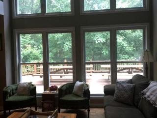Luxury Getaway in the Woodlands of Mountain Rest, South Carolina - Whetstone - 6