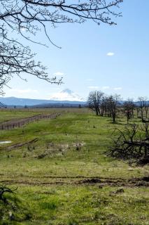 Spacious Tented Cabins Perfect for Couples in Dufur, Oregon - Dufur - 9