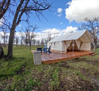 Spacious Tented Cabins Perfect for Couples in Dufur, Oregon - Dufur - 8