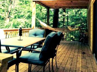 Impressive Secluded Cabin Rental with Hot Tub Along the Chattahoochee River, Georgia - Demorest - 9