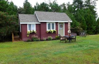 Serene Tiny House with a Big Charm for Glamping in Virginia - - 9