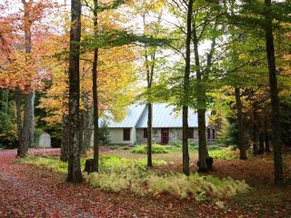 Charming Secluded Cottage with Fairy Tale Woodlands in Vermont's Green Mountains - Stowe - 7
