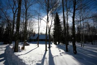 Charming Secluded Cottage with Fairy Tale Woodlands in Vermont's Green Mountains - Stowe - 2