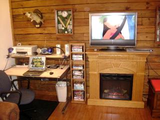 Lovely Cabin Getaway with Fireplace and Lake Views in Grand Rivers, Kentucky - Grand Rivers - 3