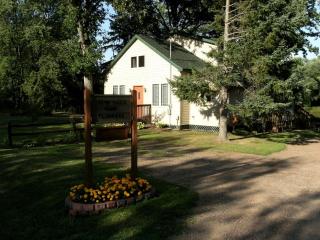 Delightful Riverfront Cabin Rental in Chippewa County near Eau Claire, Wisconsin - Holcombe - 0