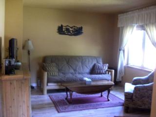 Delightful Riverfront Cabin Rental in Chippewa County near Eau Claire, Wisconsin - Holcombe - 9
