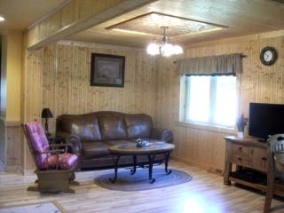 Delightful Riverfront Cabin Rental in Chippewa County near Eau Claire, Wisconsin - Holcombe - 8