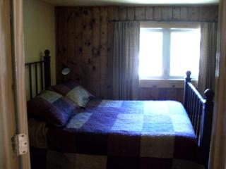 Delightful Riverfront Cabin Rental in Chippewa County near Eau Claire, Wisconsin - Holcombe - 1