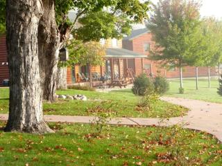 Spacious Cabin Ideal for Large Groups near Lanesboro, Minnesota - - 1