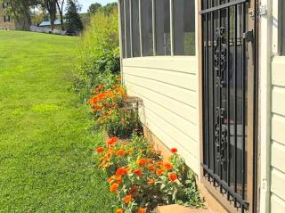 Rustic Cabin Rental near the Mark Twain National Forest, Missouri - - 9