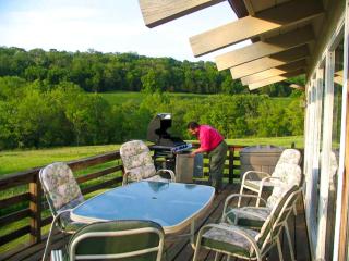 Spacious Country Cabin Rental in Jo Daviess County, Illinois - Galena - 8