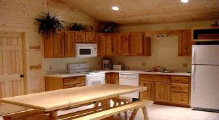 Gorgeous Cabin Surrounded by Trees and Incredible Views near Lanesboro, Minnesota - - 8