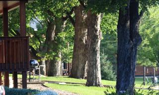 Gorgeous Cabin Surrounded by Trees and Incredible Views near Lanesboro, Minnesota - - 5