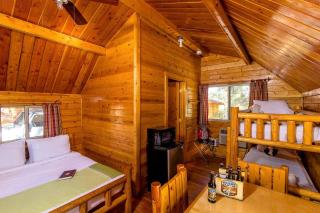 Deluxe Cabin Rental in Williams for a Family Getaway near the Grand Canyon - Williams - 8