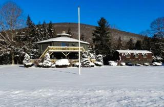 Upscale Rustic Cabin Surrounded by Spacious Pennsylvania Countryside near Pine Creek Gorge - Gaines - 9