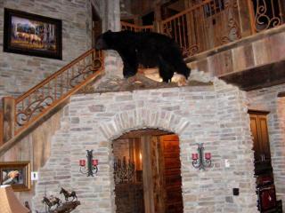Enchanting Family Cabin Rental in the Woods by Georgetown Lake, Montana - Georgetown - 7