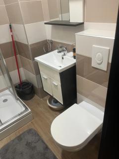Vila Marina Zlatibor-apartman Sladja - Zlatibor - 1