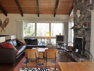 Secluded Family Mountain Rental with Fireplace in Windham, New York - Windham - 7