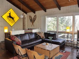 Secluded Family Mountain Rental with Fireplace in Windham, New York - Windham - 6