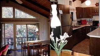 Secluded Family Mountain Rental with Fireplace in Windham, New York - Windham - 4