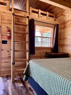 Unique Wooden Cabin Nestled Amidst Trees in Rapid City, South Dakota - Rapid City - 4